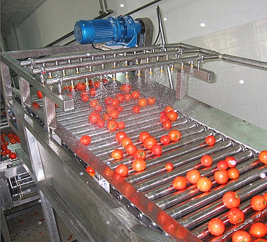 Industrielle Tomatenverarbeitungsausr&uuml;stung